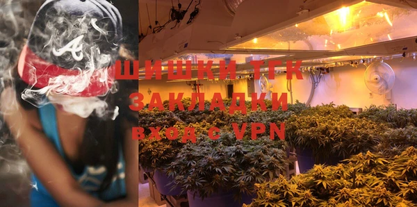 гидра Белокуриха
