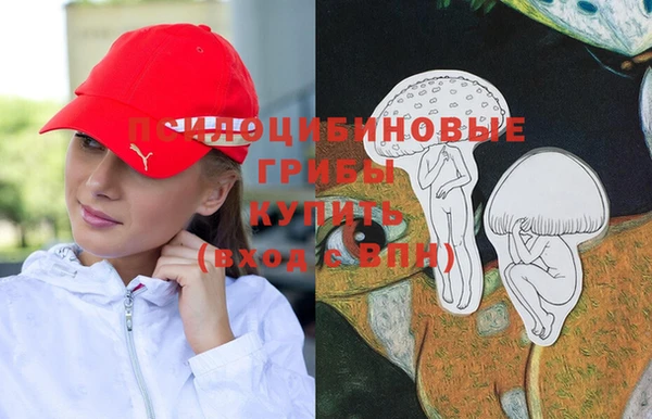 гидра Белокуриха