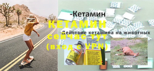 гидра Белокуриха