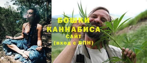 гидра Белокуриха