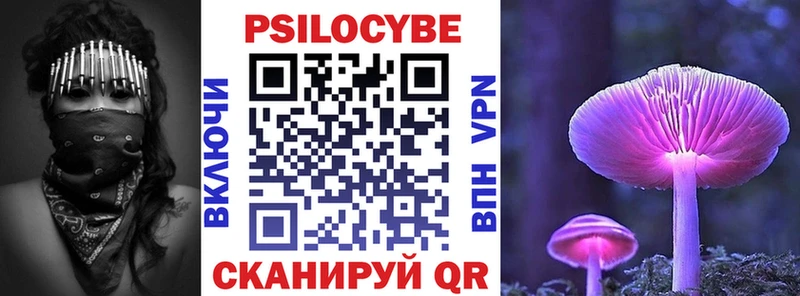 как найти закладки  Верхотурье  Псилоцибиновые грибы Magic Shrooms 